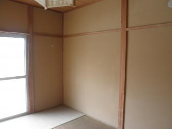 Y : イメージ写真 4