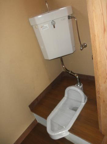 Y : イメージ写真 5