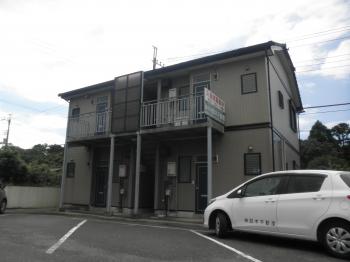 Y : イメージ写真 2