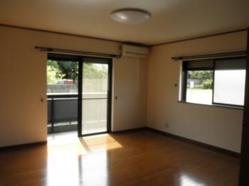 Y : イメージ写真 3