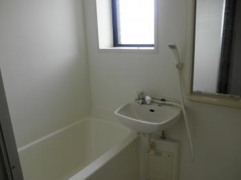 Y : イメージ写真 6