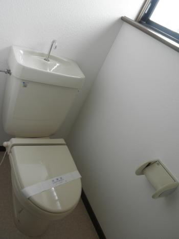 Y : イメージ写真 7