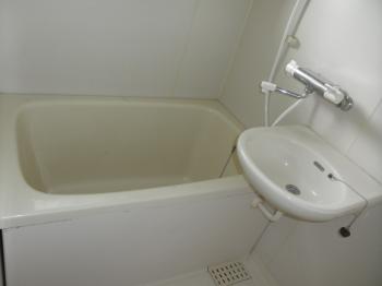 Y : イメージ写真 7