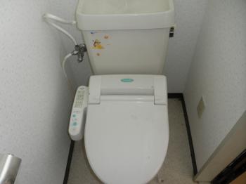 Y : イメージ写真 8