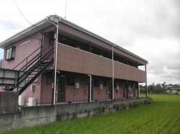 Y : イメージ写真 2