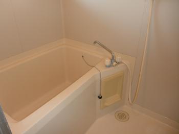 Y : イメージ写真 5