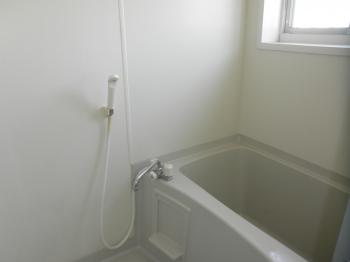 Y : イメージ写真 4