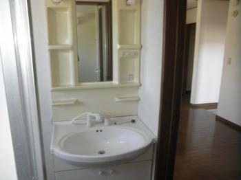 Y : イメージ写真 6