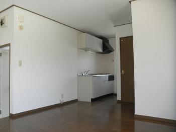 Y : イメージ写真 7