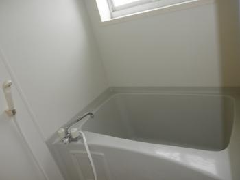 Y : イメージ写真 4