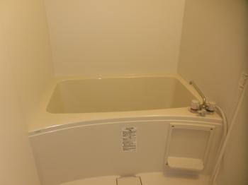 Y : イメージ写真 3