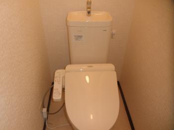 Y : イメージ写真 4