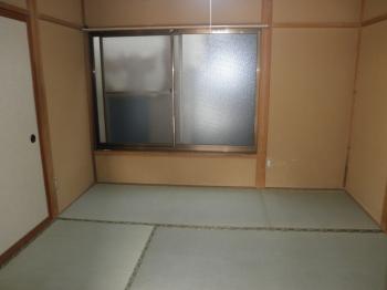 Y : イメージ写真 5