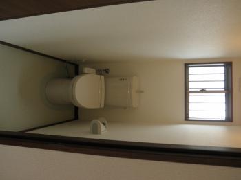 Y : イメージ写真 5