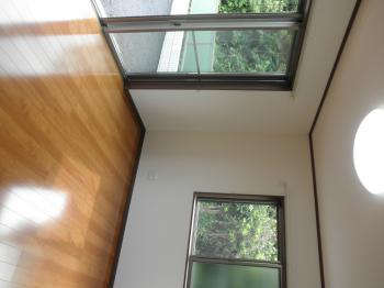 Y : イメージ写真 7