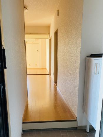 Y : イメージ写真 2