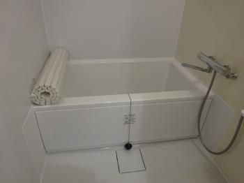 Y : イメージ写真 7