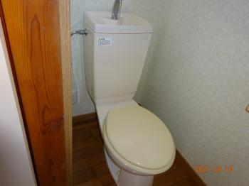 Y : イメージ写真 6