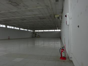 Y : イメージ写真 5