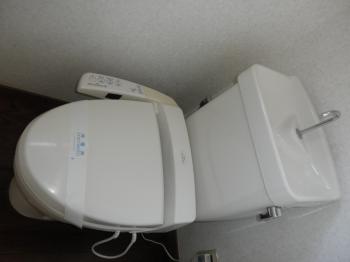 Y : イメージ写真 9