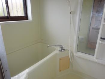 Y : イメージ写真 8